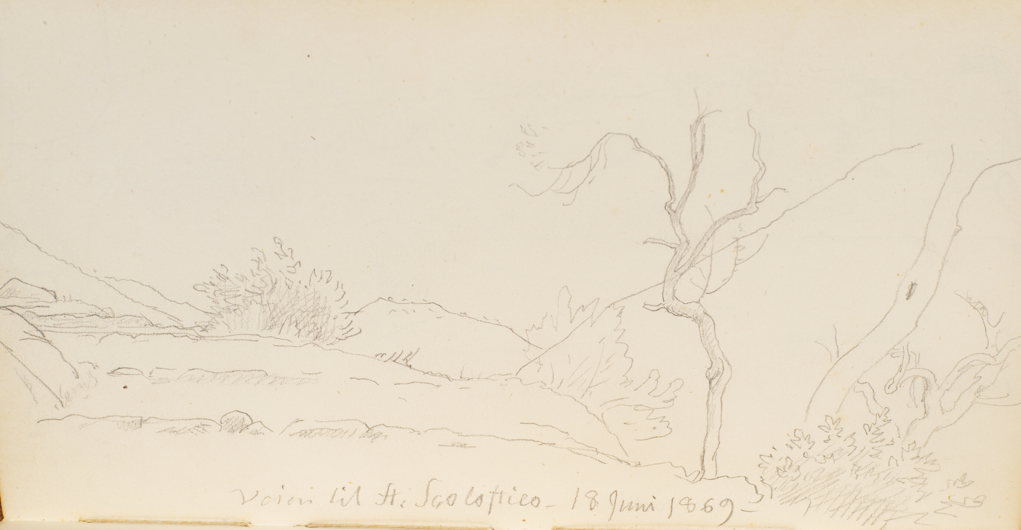 En stenet vej med buske og spinkle træer